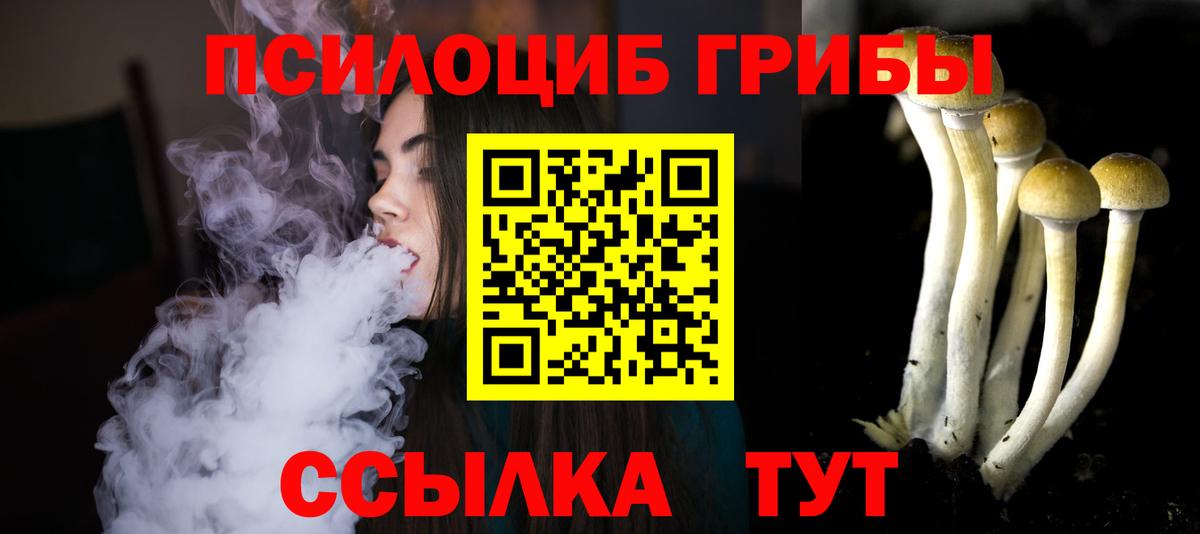 Галлюциногенные грибы Psilocybine cubensis  Вход с VPN  Казань 